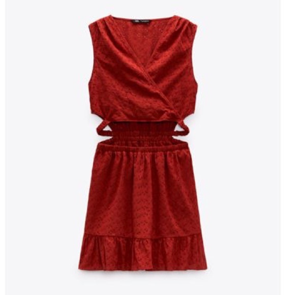Zara Openwork Embroidered Mini Dress - Picture 5 of 6